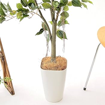 Amazon｜公式｜造花ドットコム 光触媒 フェイクグリーン 人工 造花